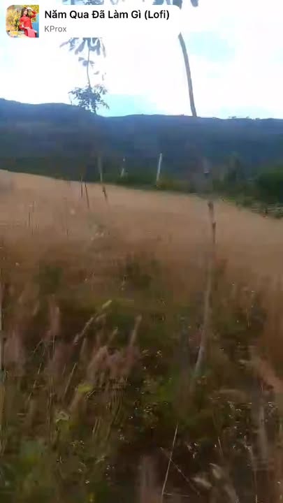 Đất nền 1.7ha xã Ia Ka, huyện Chư Păh, Gia Lai - Giá 2.2 tỷ, vị trí thuận lợi!