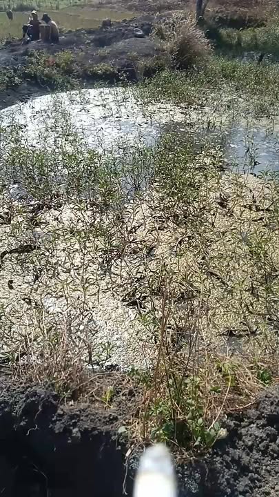 Đất nền 8000m² tại xã Dun, Chư Sê giá 230 triệu - Cơ hội đầu tư hấp dẫn!