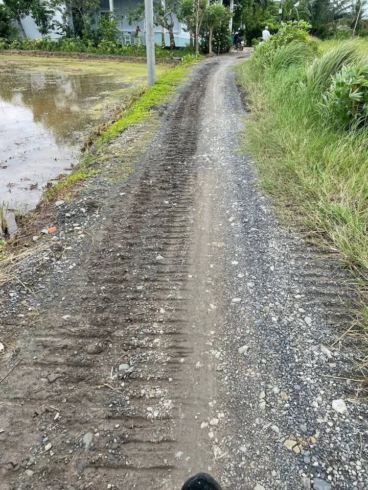 Đất lúa 3352m² tại Phước Đông, Cần Đước - Giá chỉ 2.346 tỷ!