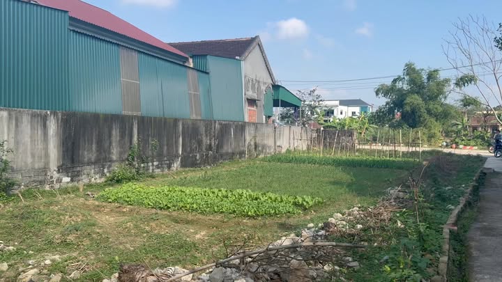 Đất nền Kim Liên, Nam Đàn 305m² giá 2.623 tỷ - Tiềm năng đầu tư sinh lời!