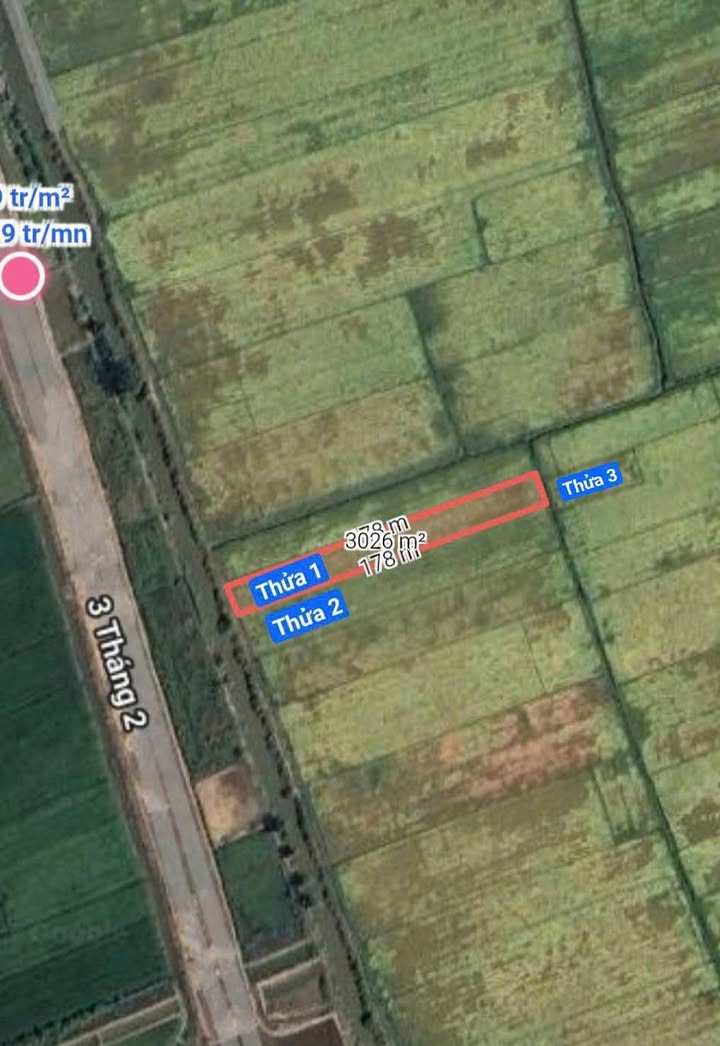 Đất mặt tiền 3/2 Vĩnh Hòa Phú 6500m² giá 800 triệu - Cơ hội đầu tư hấp dẫn!