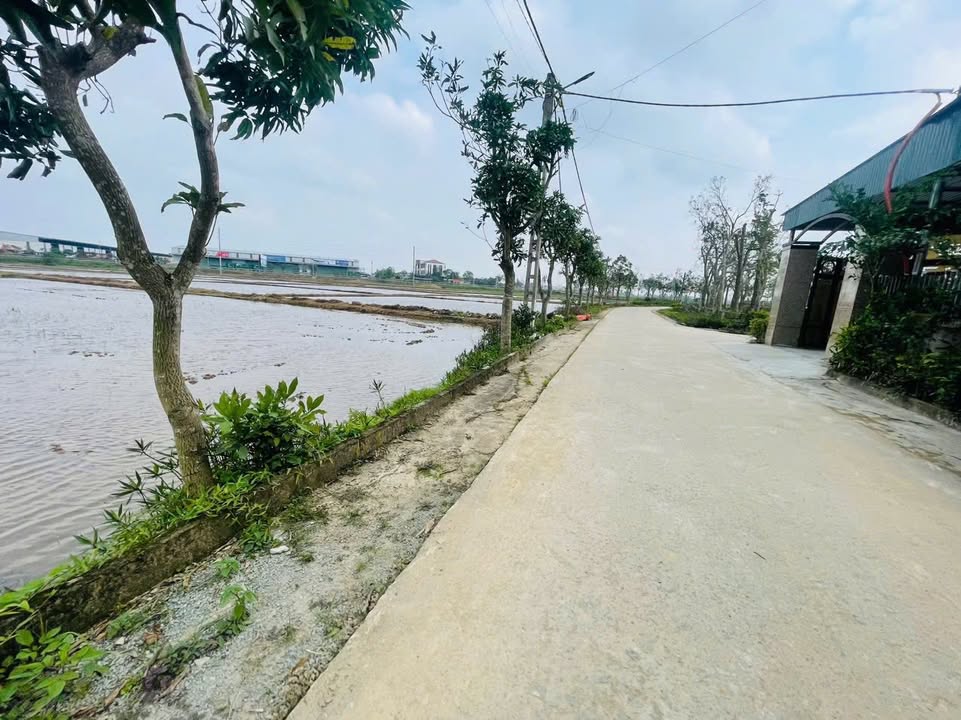 Đất nền phường Hà Huy Tập 133.25m² giá 1.2 tỷ - Cơ hội đầu tư tuyệt vời!