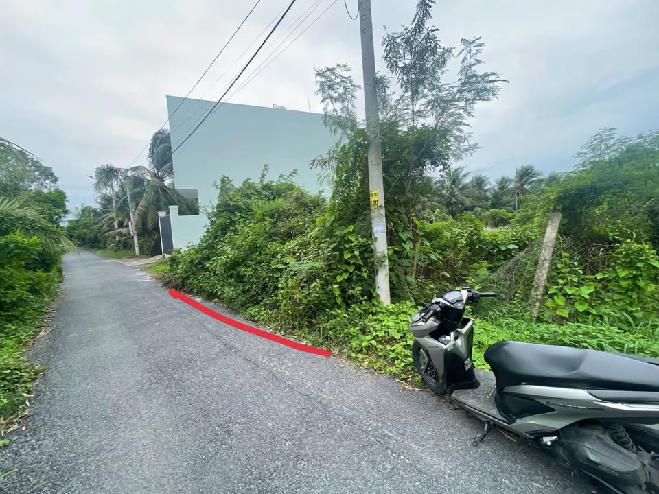 Đất nền mặt tiền đường Trần Thị Thơm, Tân Mỹ Chánh 115m² giá 1.1 tỷ - Cơ hội đầu tư tuyệt vời!