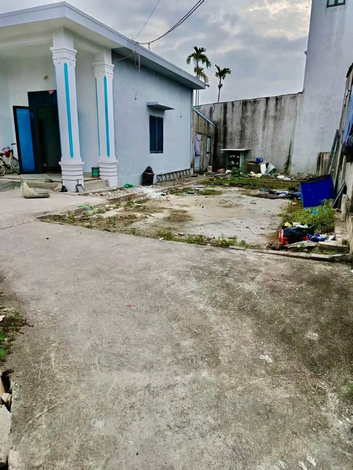 Đất nền Hoàng Động Thủy Nguyên 65m² giá 800 triệu - Cơ hội đầu tư tuyệt vời!