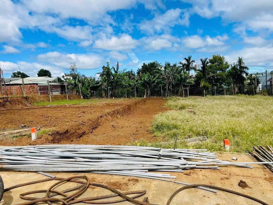 Đất nền hẻm 52 An Dương Vương, Phường An Phú, 115m² - Pháp lý rõ ràng, giá chỉ 800 triệu!