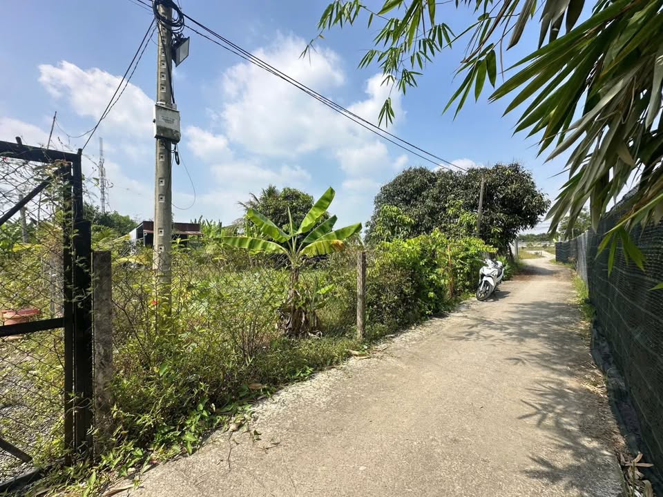 Nhà vườn xã Hưng Long Bình Chánh 1086m² giá 3.4 tỷ - Đầu tư lý tưởng!