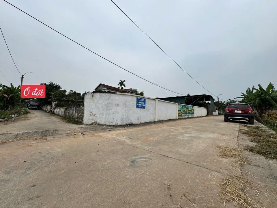 Đất nền Phú Ninh, Thanh Vân, Tam Dương, Vĩnh Phúc 84m² giá 700 triệu - Cơ hội đầu tư tốt!