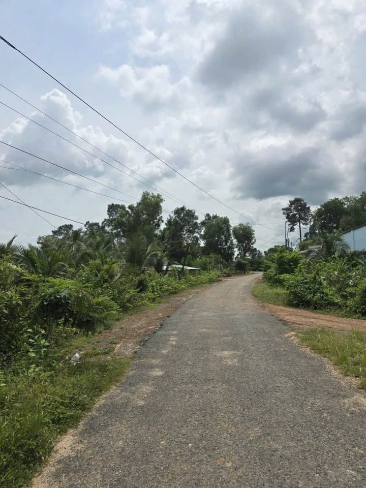 Đất thổ cư Bến Cừ, Ninh Điền 150m² chỉ 200 triệu - Cơ hội đầu tư không thể bỏ lỡ!