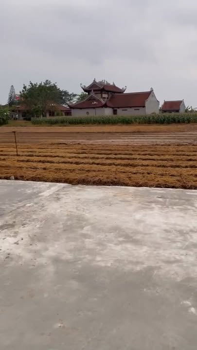 Đất nền Lương Tài 110.7m² giá 1.7 tỷ - Cơ hội đầu tư hấp dẫn!