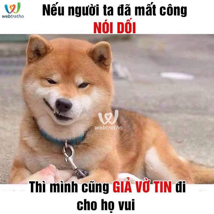 Đất nền Võ Thị Sáu, quận 3, 195m² giá 3 tỷ - Vị trí đẹp, tiện kinh doanh!