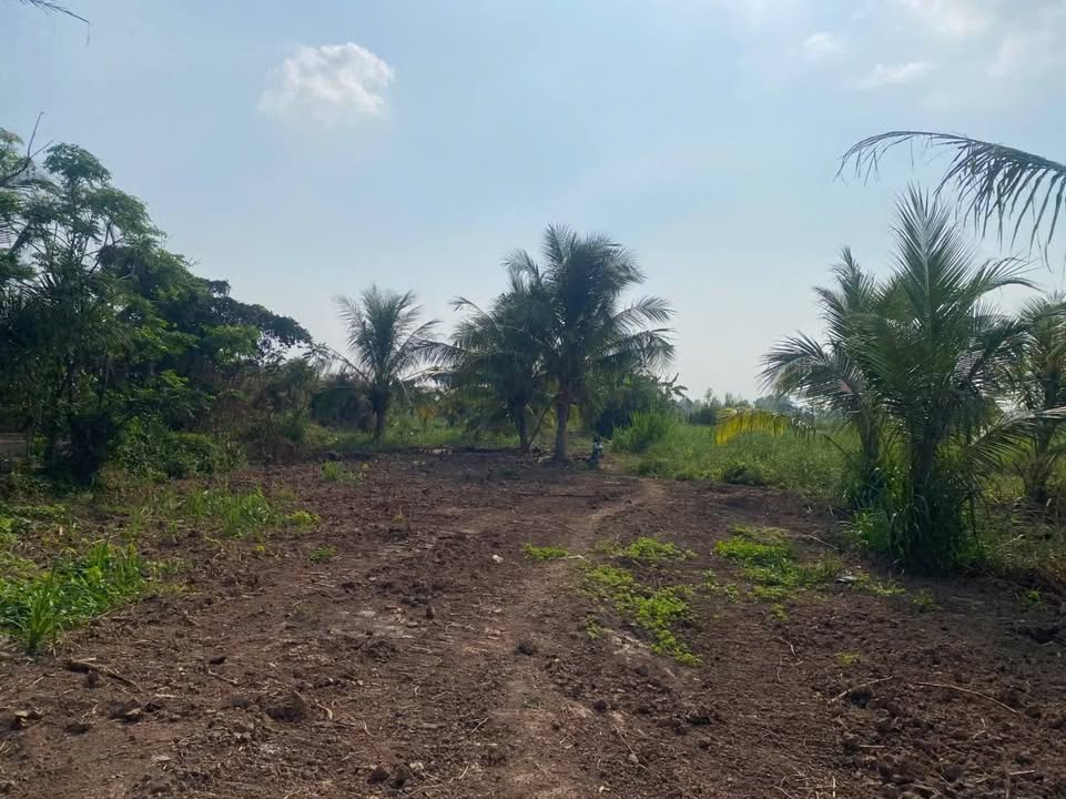 Đất nền Vĩnh Hòa, Ba Tri, Bến Tre 2000m² giá 900 triệu - Đầu tư sinh lời nhanh chóng!