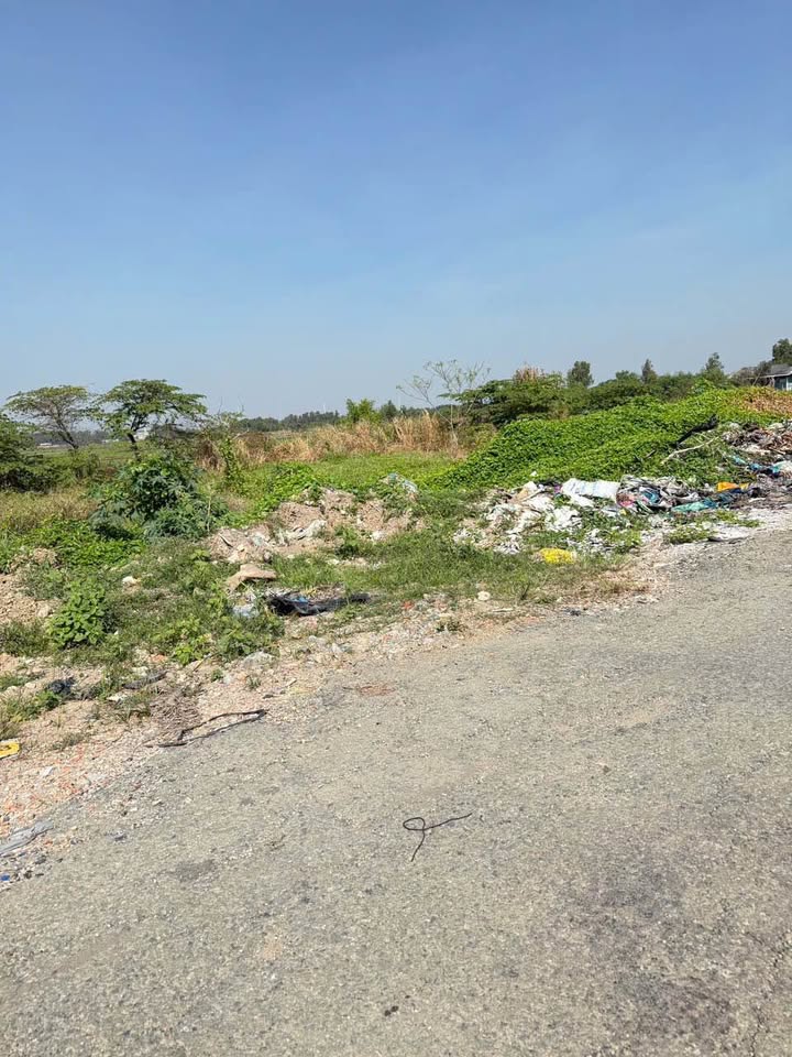 Đất nông nghiệp mặt tiền đường nhựa xã Xuân Thới Sơn 4783m² giá 23.914 tỷ - Tiềm năng đầu tư lớn!