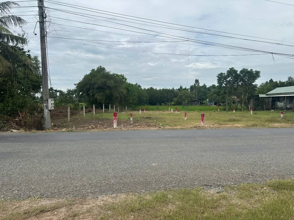 Đất thổ cư 180m² tại xã Mỹ Thạnh Đông, Đức Huệ - Giá chỉ 800 triệu!