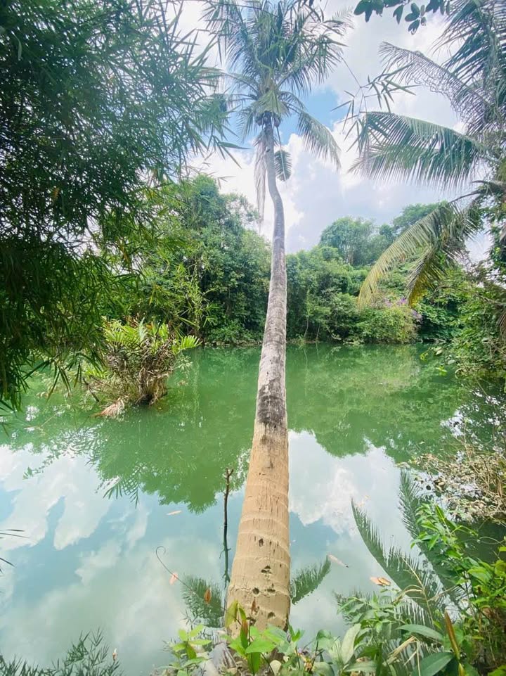 Đất nền mặt tiền sông Làng Bưởi Tân Triều 1000m² giá 5.5 tỷ - Cơ hội đầu tư hấp dẫn!