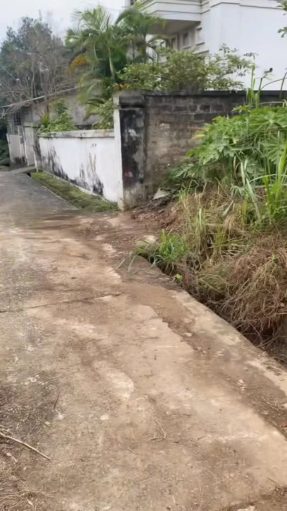 Đất khu 4 - Hà Lộc, TX Phú Thọ 290m² - Mặt tiền rộng, vị trí đẹp!