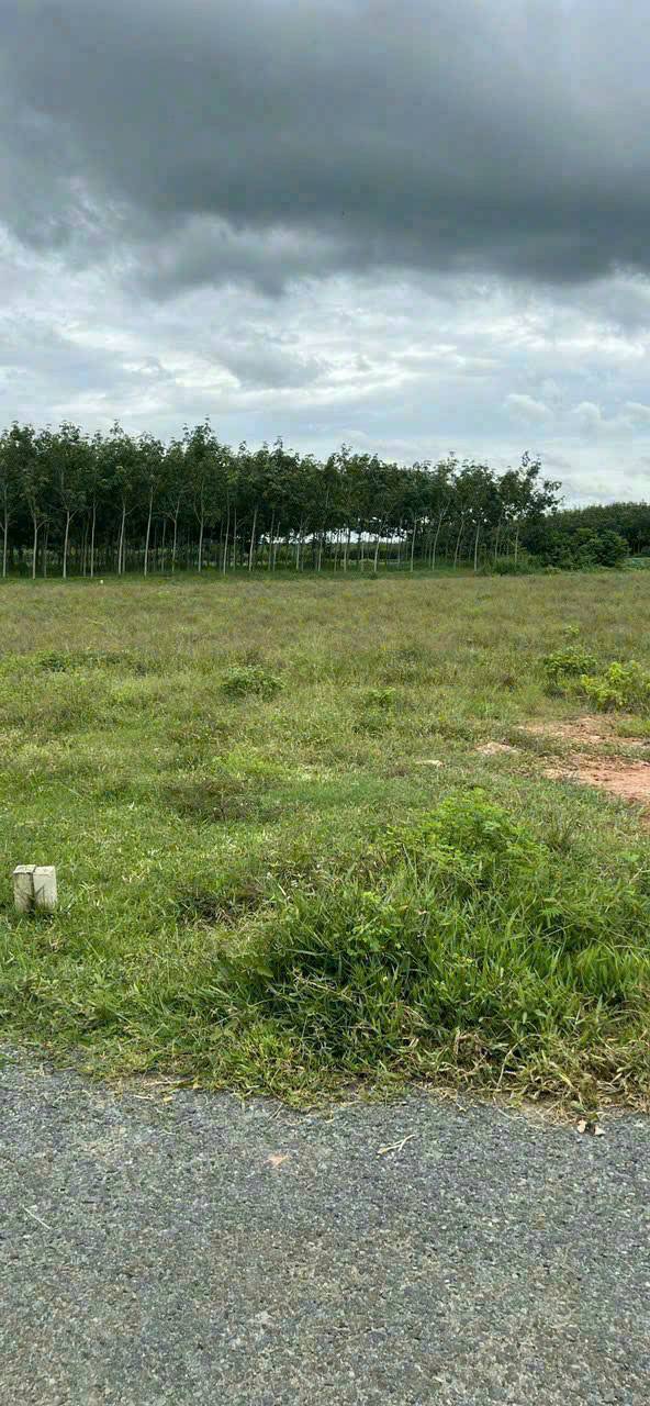 Đất nền Thạnh Bình Tân Biên 2000m² giá 850 triệu - Đầu tư sinh lời cao!