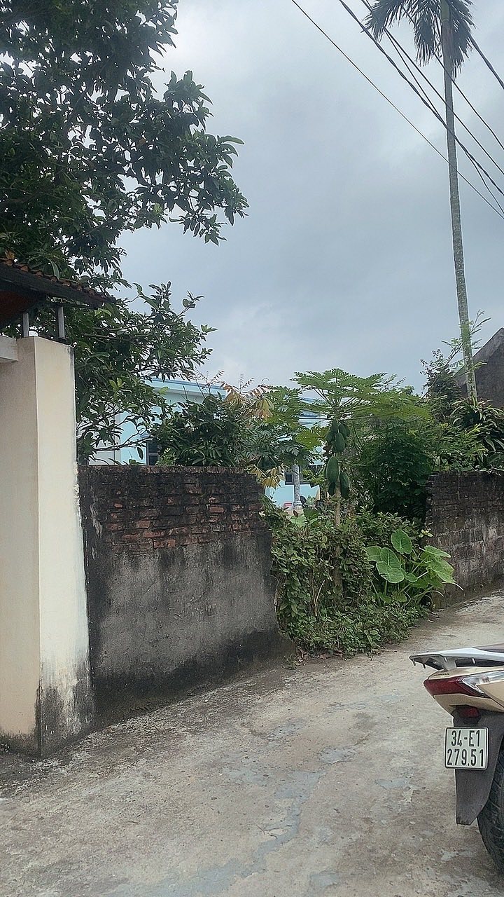 Đất thổ cư thôn Mai, Hiệp Lực, Ninh Giang 198m² giá 1.4 tỷ - Đầu tư sinh lời tuyệt vời!