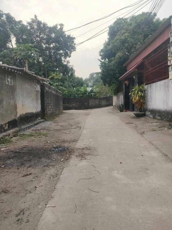 Lô đất 250m² khu phố 5, Bỉm Sơn, Thanh Hóa giá 1 tỷ - Đầu tư sinh lời ngay!