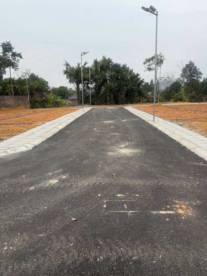 Đất thổ cư 112,4m² tại Vân Trục, Lập Thạch chỉ 500 triệu - Cơ hội đầu tư tuyệt vời!