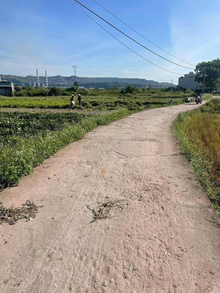 Đất nông nghiệp 1000m² thôn Chân Đèo, Hạ Long - Bám đường bê tông rộng rãi, giá chỉ 300 triệu!