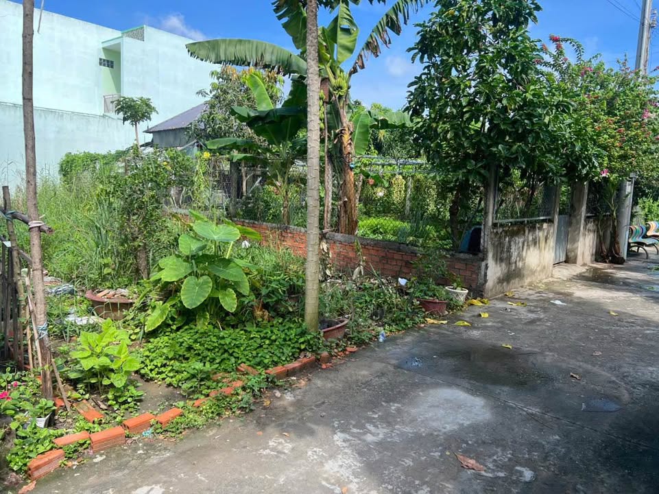 Đất thổ cư 120m² hẻm 64 Nguyễn Minh, Tân An - Giá 1.75 tỷ, thương lượng mạnh!