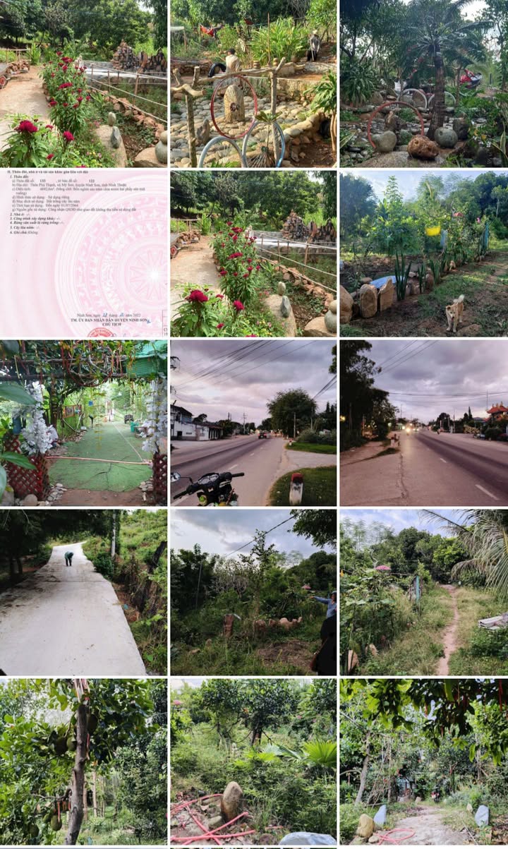 Khu vườn Mỹ Sơn Ninh Thuận 10.000m² - Cơ hội đầu tư lý tưởng!