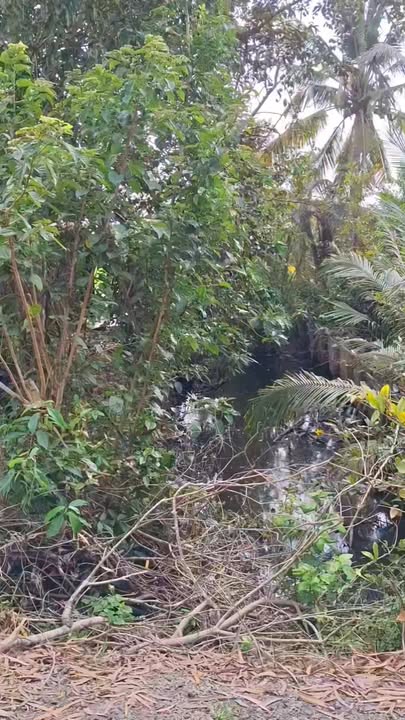 Đất thổ cư Vọng Đông, Thoại Sơn 1368m² giá 1.075 tỷ - Cơ hội đầu tư hấp dẫn!