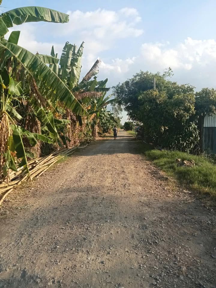 Đất ruộng Định Mỹ 40,000m² giá 3.95 tỷ - Cơ hội đầu tư sinh lời!