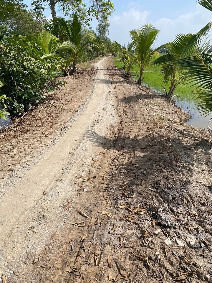 Đất mặt tiền đường Kênh Mười Cai, xã Vĩnh Trạch, 10.300m² giá 200 triệu - Cơ hội đầu tư tuyệt vời!