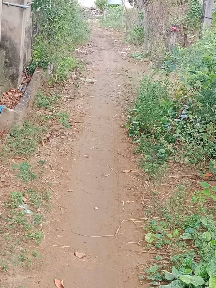 Đất nền Thừa Đức, Bình Đại, Bến Tre 160m² giá 250 triệu - Cơ hội đầu tư hấp dẫn!