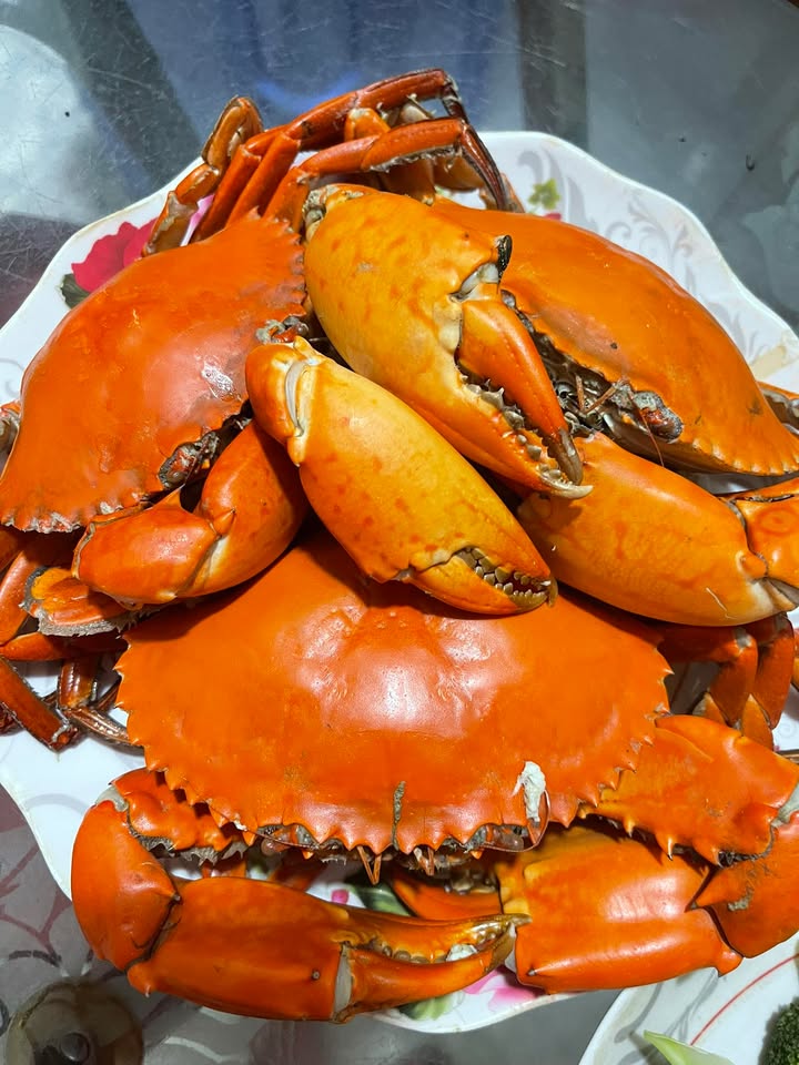 Đất nền Mỏ Cày Nam Bến Tre 125m² giá 350 triệu - Đường xe hơi vào tận nơi!