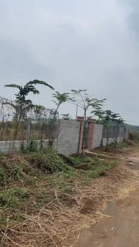 Đất Hòa Hưng Xuyên Mộc 1000m² giá 1.5 tỷ - Đầu tư sinh lời cao!