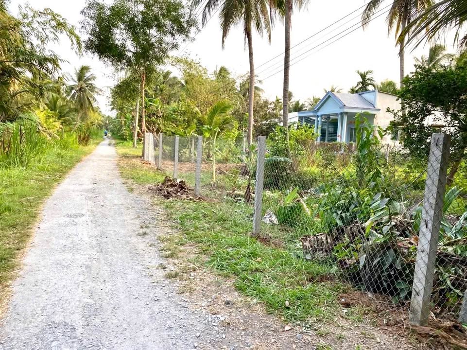 Đất nền Ấp 3, Trung Nghĩa, Vũng Liêm 684m² chỉ 795 triệu - Sổ hồng chính chủ!