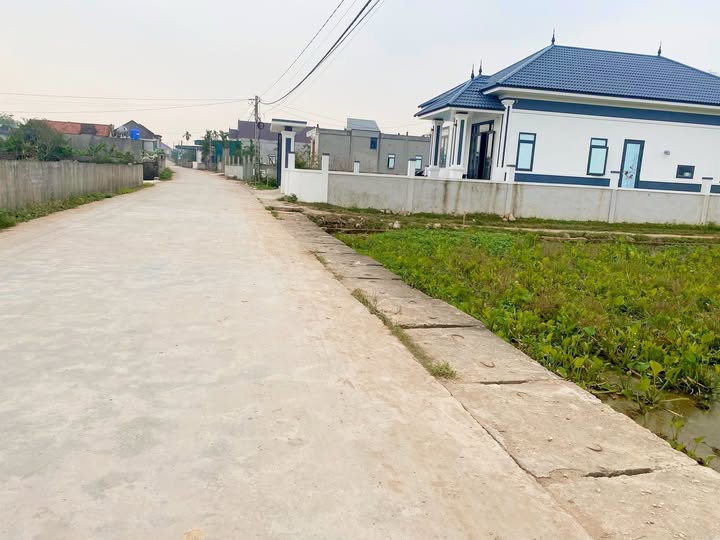 Đất nền khu phố Yên Hợp, phường Mai Hùng, diện tích 203m² - Đầu tư sinh lời ngay!