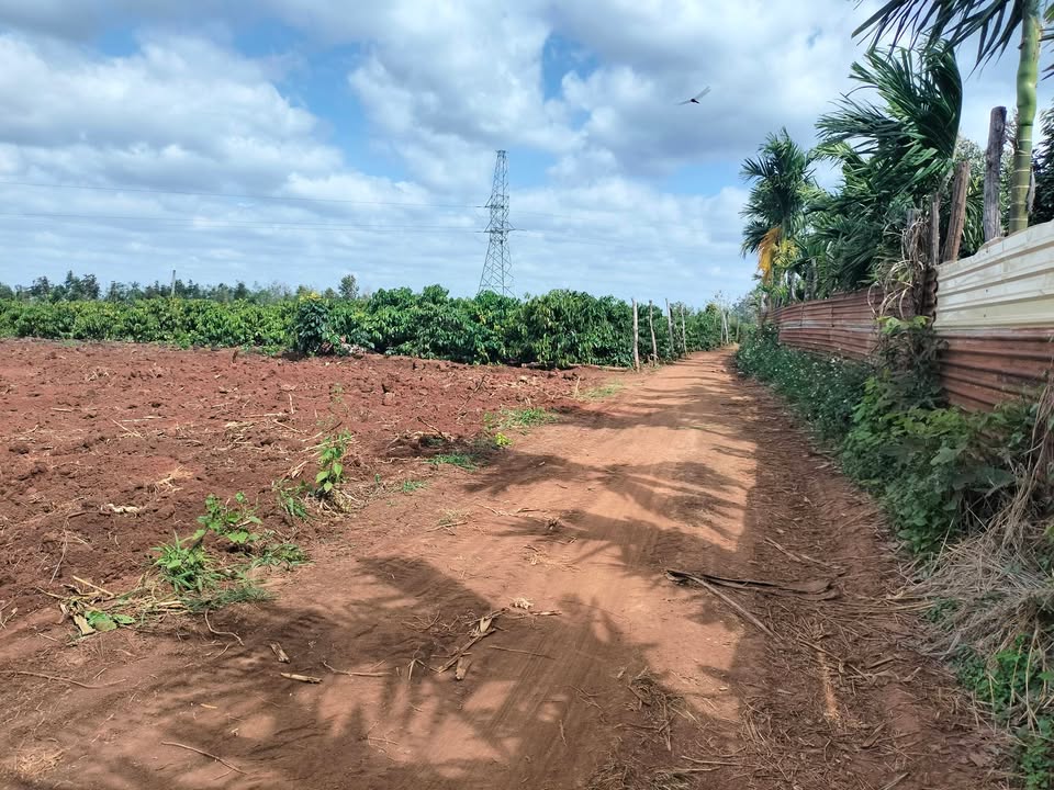 Đất nền 20,000m² tại thôn 5, xã Ea M'nang, giá 2 tỷ - Cơ hội đầu tư hấp dẫn!