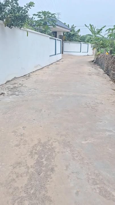 Đất nền đẹp tại thôn Trạng, xã Tân Dĩnh, 632m² chỉ 2 tỷ - Đầu tư lý tưởng!