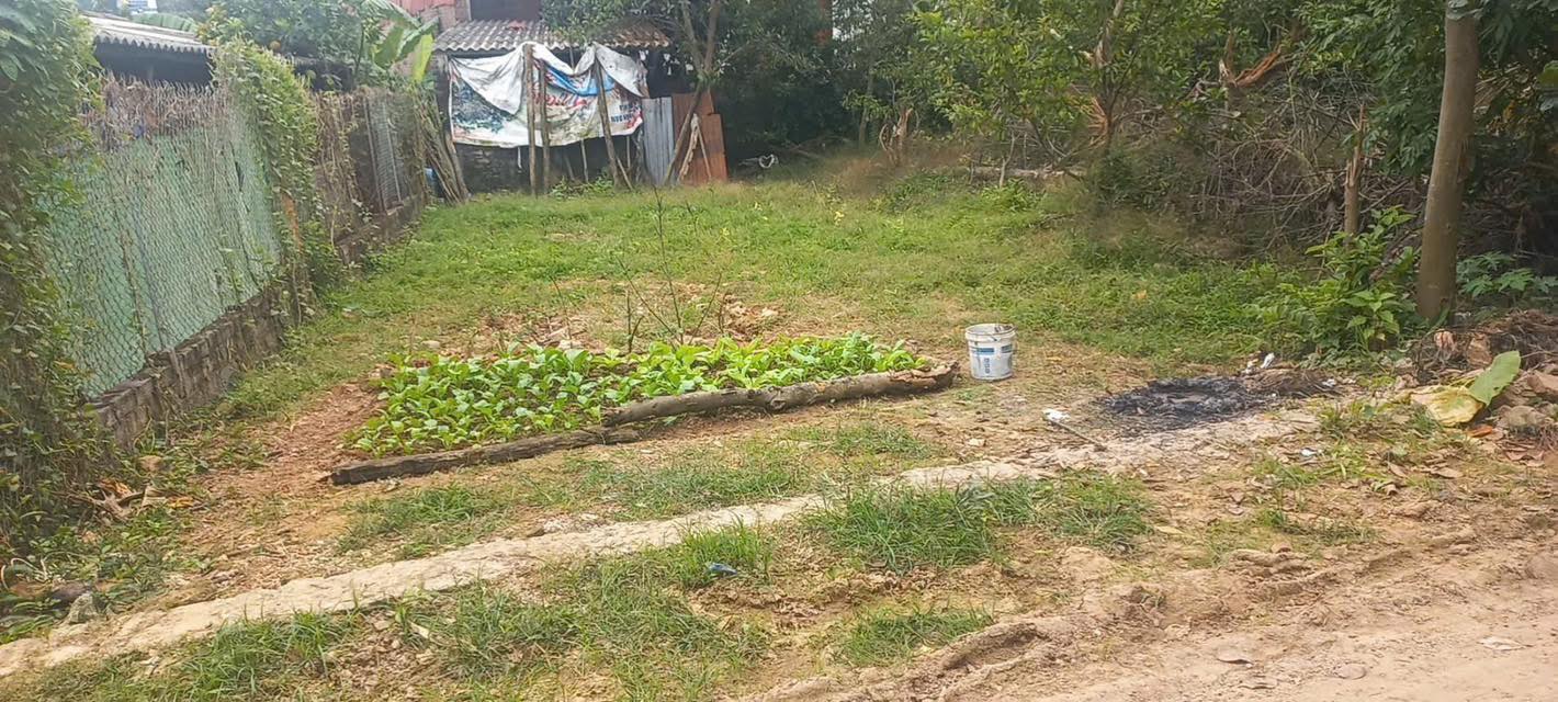 Đất nền Tân Yên Bắc Giang 161m² - Mặt tiền 7m, giá hợp lý!