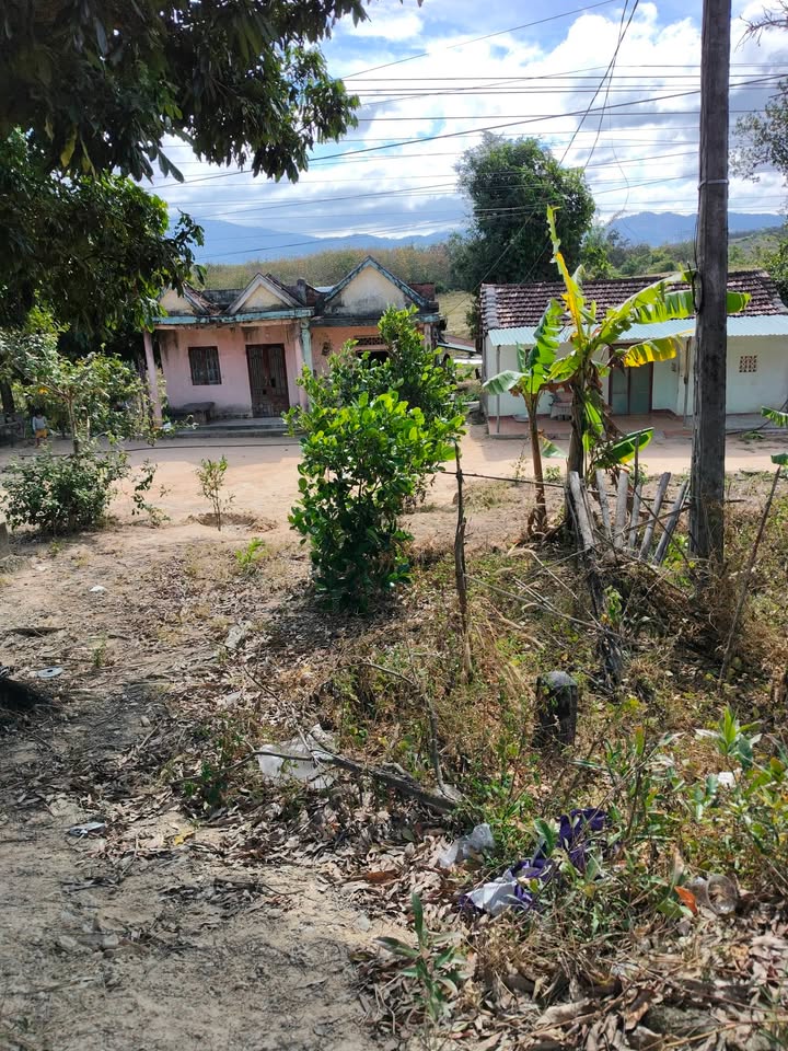 Đất thổ cư 390m² tại Kon Rẫy, Kon Tum - Gần trường học, giá chỉ 2xx triệu