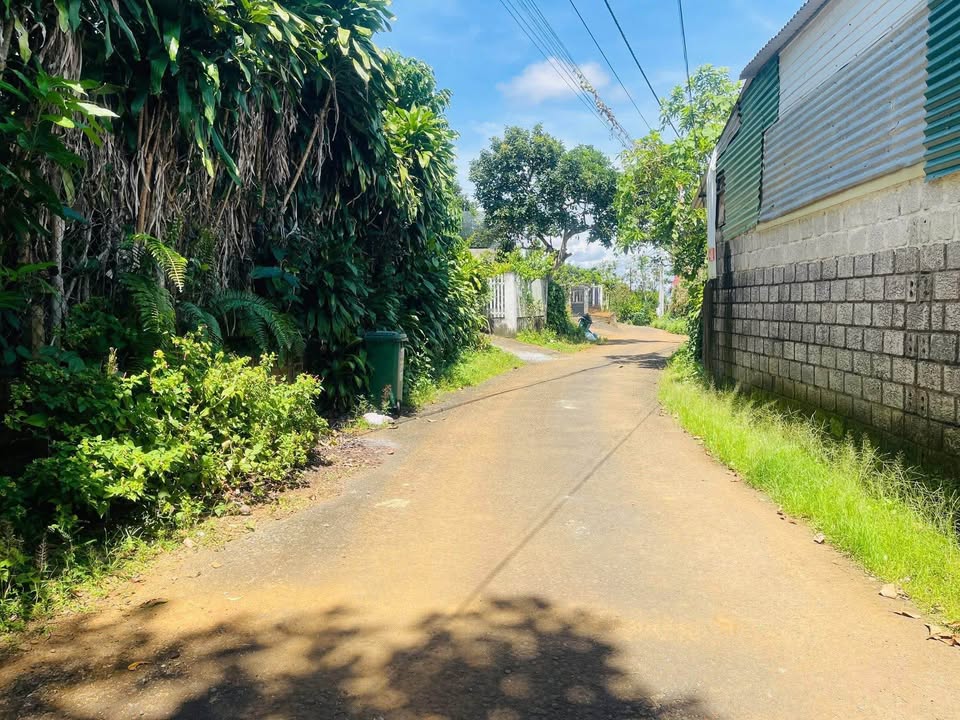 Nhà cấp 4 Hẻm 243 Bùi Thị Xuân 210m² giá 3.1 tỷ - Không thể bỏ lỡ!