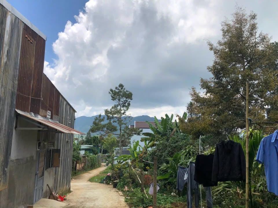 Phòng trọ cho thuê tại Bảo Lộc 1,6 triệu - Không gian sống thoải mái, tiện nghi đầy đủ!