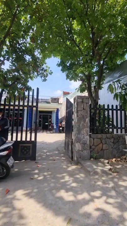 Đất mặt tiền hẻm Trịnh Thị Dối, Hóc Môn 515m² giá 9.95 tỷ - Phù hợp xây biệt thự sân vườn hoặc nhà xưởng!