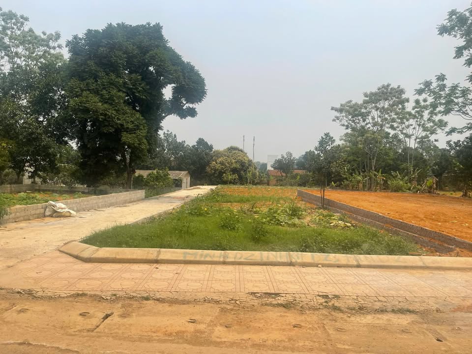 Lô đất góc Thôn 3, Phú Cát 178m² giá thỏa thuận - Sổ đỏ chính chủ, mặt tiền rộng!