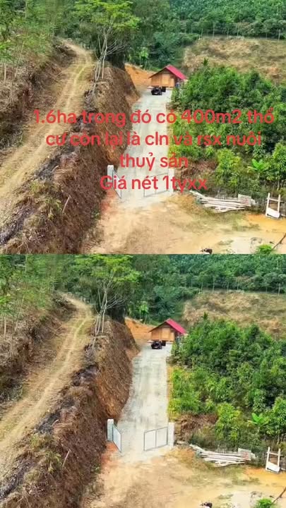 Farm nghỉ dưỡng Thượng Long 1.6ha giá 1.95 tỷ - Không gian thiên nhiên tuyệt đẹp!