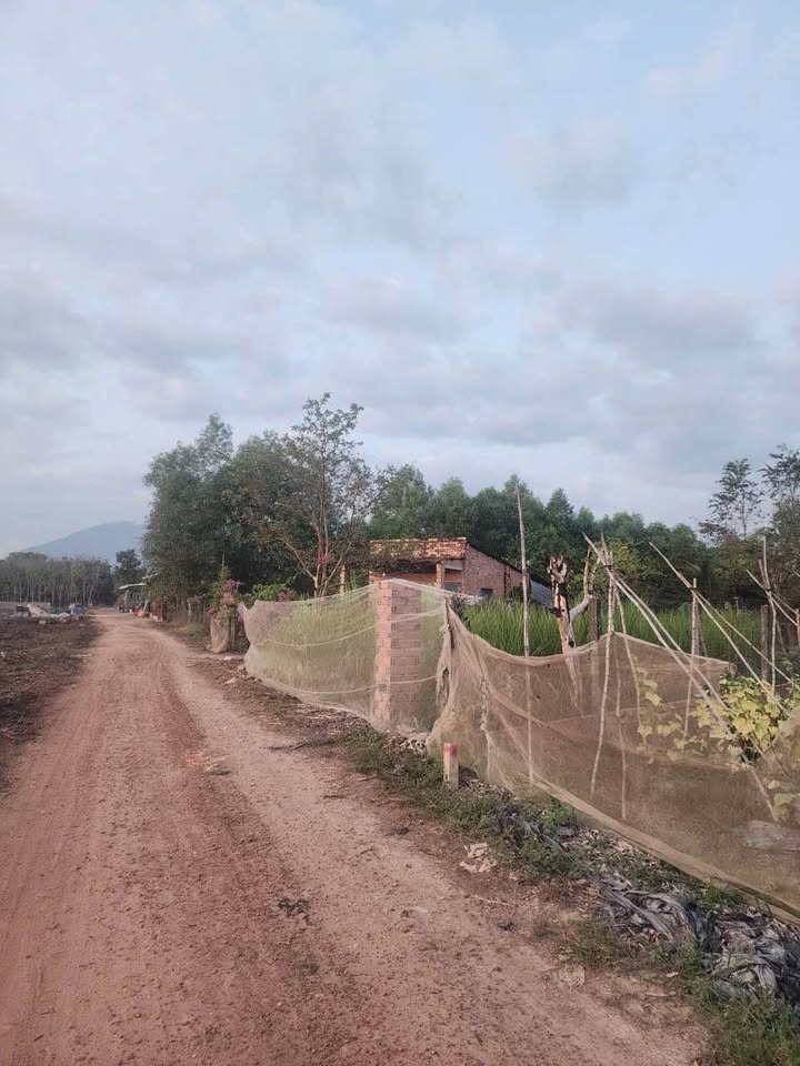 Đất thổ cư Chà Là, Dương Minh Châu 144m² giá 399 triệu - Đầu tư sinh lời ngay!