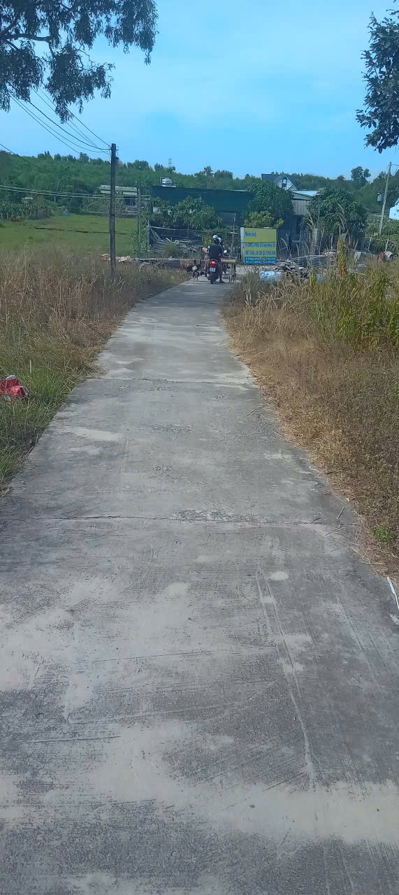 Đất nền 11250m² tại Tân Bình, La Gi - Giá 2.2 tỷ, Đầu tư sinh lời ngay!