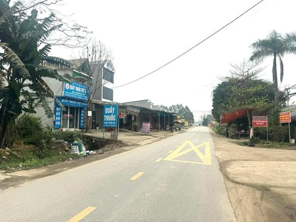 Đất nền kinh doanh tại Phú Thọ 100m² giá 3 tỷ - Vị trí đắc địa cho thuê sinh lời!