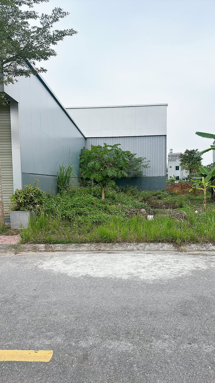 Đất nền đường Vũ Thế Lang, Việt Trì 90m² giá 3.9 tỷ - Vị trí đắc địa, tiện ích đầy đủ!