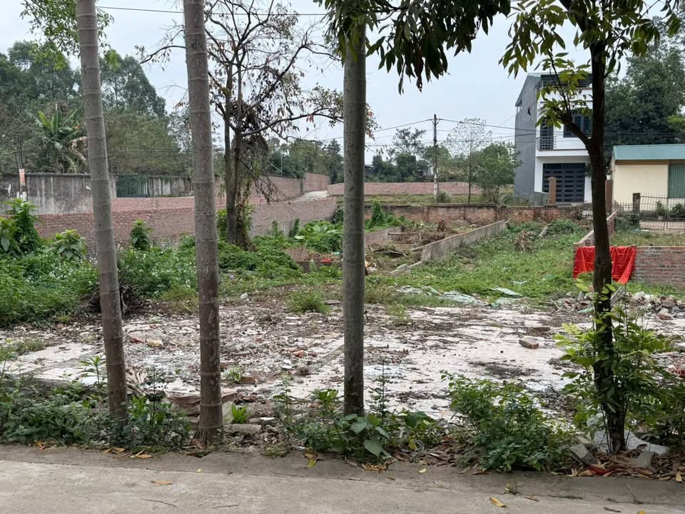 Đất nền khu Vân Phú, Việt Trì 87m² giá 2 tỷ - Vị trí đắc địa gần tiện ích!