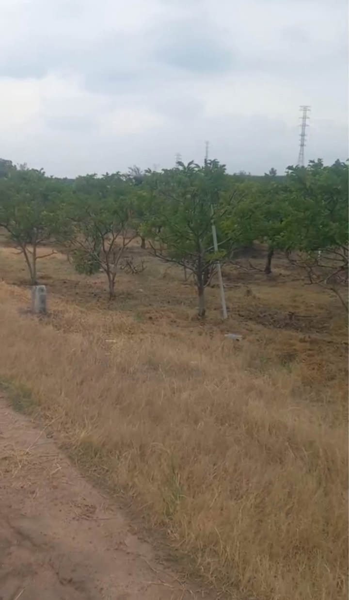 Đất nền Bình Minh Tây Ninh 1100m² giá 700 triệu - Đầu tư sinh lời ngay!