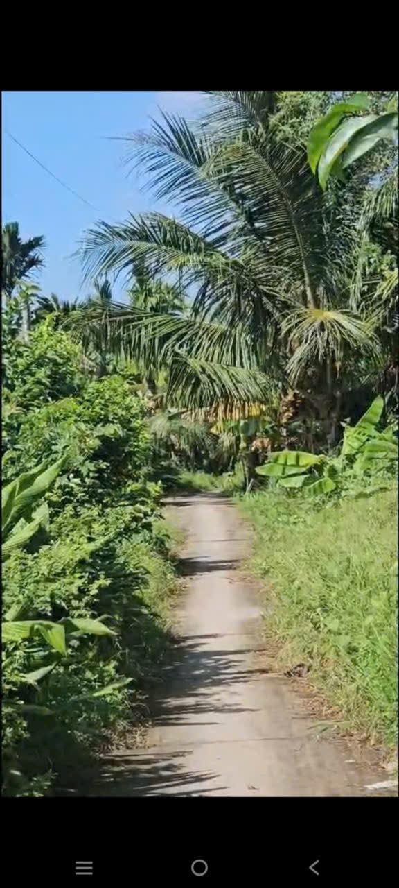 Đất mặt tiền lộ bê tông 4000m² tại Long Phú - Giá chỉ 1.1 tỷ, cơ hội đầu tư tuyệt vời!